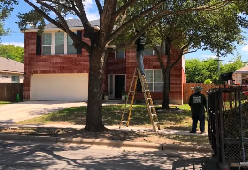 Tree Trimming (7)